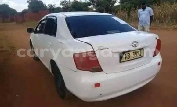 Nunua Ilio tumika Toyota Axio White Gari ndani ya Lilongwe nchini Malawi Nunua Ilio tumika Toyota Axio White Gari ndani ya Lilongwe nchini Malawi