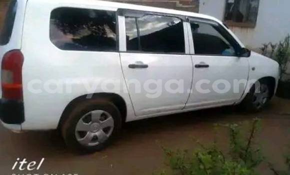 Nunua Ilio tumika Toyota Probox White Gari ndani ya Lilongwe nchini Malawi Nunua Ilio tumika Toyota Probox White Gari ndani ya Lilongwe nchini Malawi