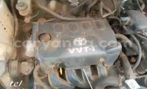 Nunua Ilio tumika Toyota Probox White Gari ndani ya Lilongwe nchini Malawi Nunua Ilio tumika Toyota Probox White Gari ndani ya Lilongwe nchini Malawi