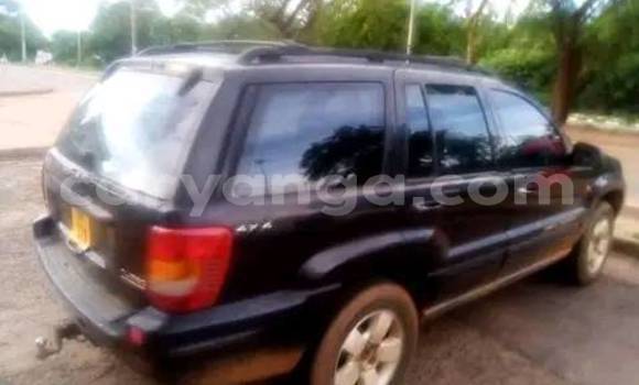 Nunua Ilio tumika Jeep Grand Cherokee Black Gari ndani ya Lilongwe nchini Malawi Nunua Ilio tumika Jeep Grand Cherokee Black Gari ndani ya Lilongwe nchini Malawi
