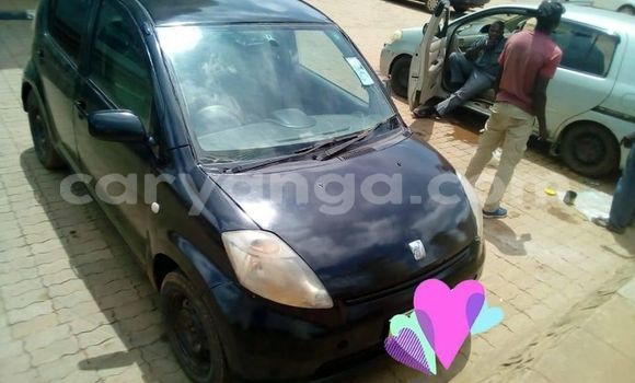 Nunua Ilio tumika Toyota Passo Black Gari ndani ya Lilongwe nchini Malawi Nunua Ilio tumika Toyota Passo Black Gari ndani ya Lilongwe nchini Malawi