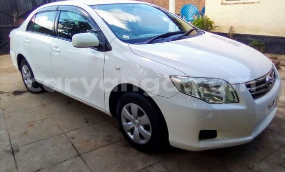 Acheter Occasion Voiture Toyota Axio Blanc à Blantyre, Malawi Acheter Occasion Voiture Toyota Axio Blanc à Blantyre, Malawi
