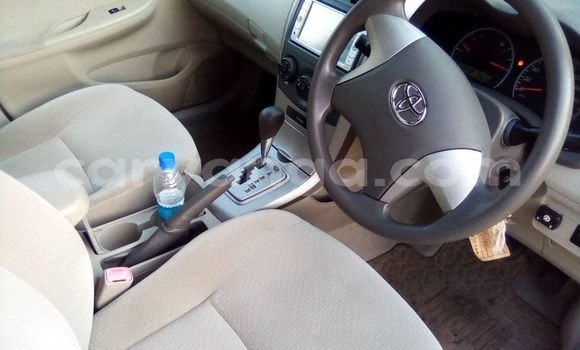Acheter Occasion Voiture Toyota Axio Blanc à Blantyre, Malawi Acheter Occasion Voiture Toyota Axio Blanc à Blantyre, Malawi