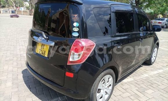 Buy Used Toyota Ractis Black Car in Blantyre in Malawi Buy Used Toyota Ractis Black Car in Blantyre in Malawi