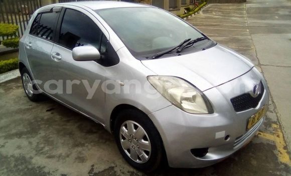 Buy Used Toyota Vitz Silver Car in Blantyre in Malawi Buy Used Toyota Vitz Silver Car in Blantyre in Malawi