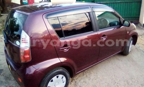 Buy Used Toyota Passo Red Car in Blantyre in Malawi Buy Used Toyota Passo Red Car in Blantyre in Malawi