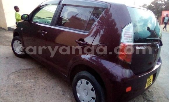 Buy Used Toyota Passo Red Car in Blantyre in Malawi Buy Used Toyota Passo Red Car in Blantyre in Malawi