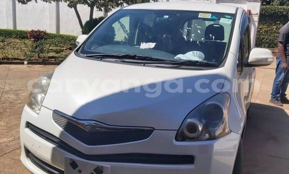 Buy Used Toyota Ractis White Car in Blantyre in Malawi Buy Used Toyota Ractis White Car in Blantyre in Malawi