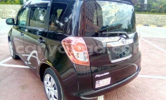 Buy Used Toyota Ractis Black Car in Blantyre in Malawi Buy Used Toyota Ractis Black Car in Blantyre in Malawi