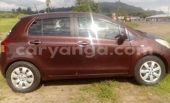 Buy Used Toyota Vitz Brown Car in Blantyre in Malawi Buy Used Toyota Vitz Brown Car in Blantyre in Malawi