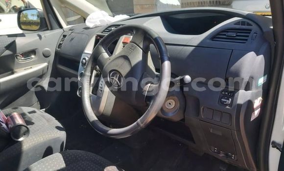 Buy Used Toyota Ractis White Car in Blantyre in Malawi Buy Used Toyota Ractis White Car in Blantyre in Malawi