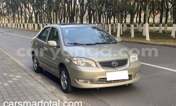 Buy Used Toyota Vios Silver Car in Balaka in Balaka Buy Used Toyota Vios Silver Car in Balaka in Balaka