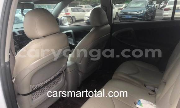 Buy Used Toyota RAV4 White Car in Import - Dubai in Malawi Buy Used Toyota RAV4 White Car in Import - Dubai in Malawi