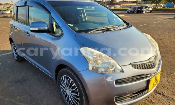 Buy Used Toyota Ractis Other Car in Blantyre in Malawi Buy Used Toyota Ractis Other Car in Blantyre in Malawi