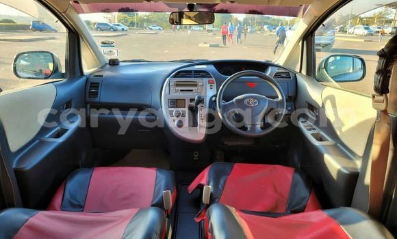 Buy Used Toyota Ractis Other Car in Blantyre in Malawi Buy Used Toyota Ractis Other Car in Blantyre in Malawi