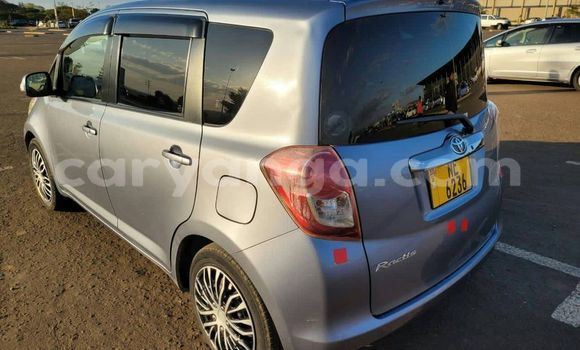 Buy Used Toyota Ractis Other Car in Blantyre in Malawi Buy Used Toyota Ractis Other Car in Blantyre in Malawi