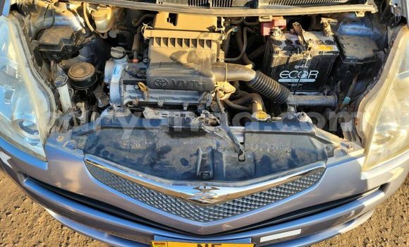 Buy Used Toyota Ractis Other Car in Blantyre in Malawi Buy Used Toyota Ractis Other Car in Blantyre in Malawi