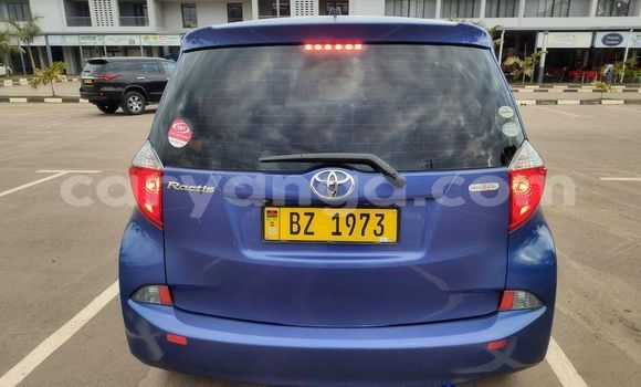 Buy Used Toyota Ractis Blue Car in Blantyre in Malawi Buy Used Toyota Ractis Blue Car in Blantyre in Malawi