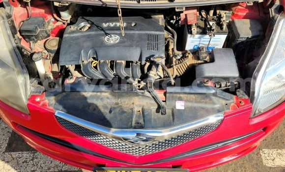 Buy Used Toyota Ractis Red Car in Blantyre in Malawi Buy Used Toyota Ractis Red Car in Blantyre in Malawi