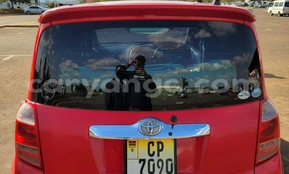 Buy Used Toyota Ractis Red Car in Blantyre in Malawi Buy Used Toyota Ractis Red Car in Blantyre in Malawi