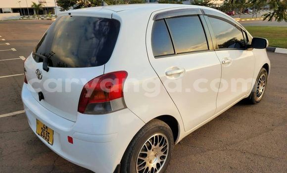Buy Used Toyota Vitz White Car in Blantyre in Malawi Buy Used Toyota Vitz White Car in Blantyre in Malawi