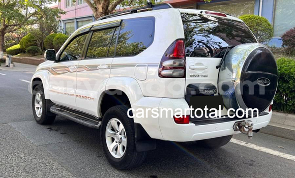 Buy Used Toyota Prado White Car in Kasungu in Malawi Buy Used Toyota Prado White Car in Kasungu in Malawi