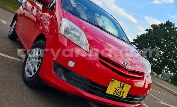 Acheter Occasion Voiture Toyota Passo Rouge à Blantyre, Malawi Acheter Occasion Voiture Toyota Passo Rouge à Blantyre, Malawi