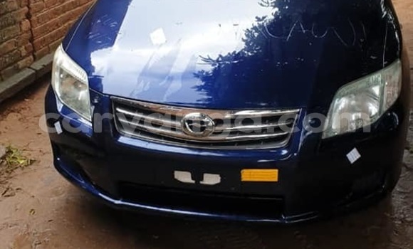 Buy Used Toyota Axio Blue Car in Blantyre in Malawi Buy Used Toyota Axio Blue Car in Blantyre in Malawi