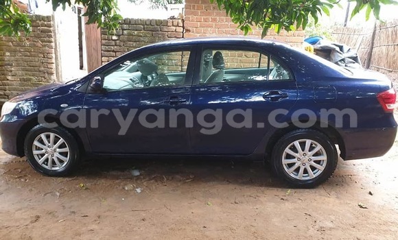 Buy Used Toyota Axio Blue Car in Blantyre in Malawi Buy Used Toyota Axio Blue Car in Blantyre in Malawi
