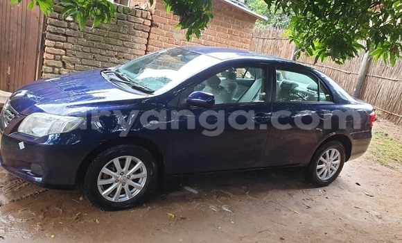 Buy Used Toyota Axio Blue Car in Blantyre in Malawi Buy Used Toyota Axio Blue Car in Blantyre in Malawi