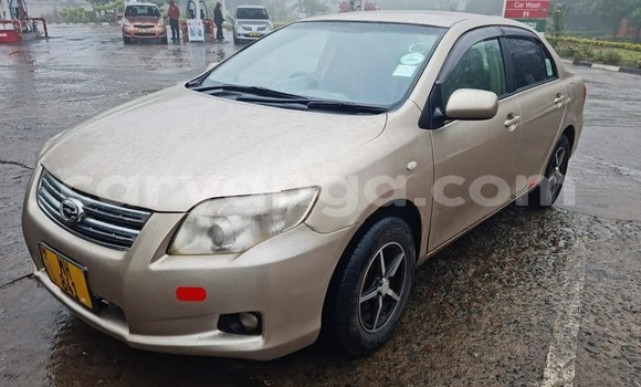 Buy Used Toyota Axio Brown Car in Blantyre in Malawi Buy Used Toyota Axio Brown Car in Blantyre in Malawi