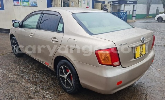 Buy Used Toyota Axio Brown Car in Blantyre in Malawi Buy Used Toyota Axio Brown Car in Blantyre in Malawi