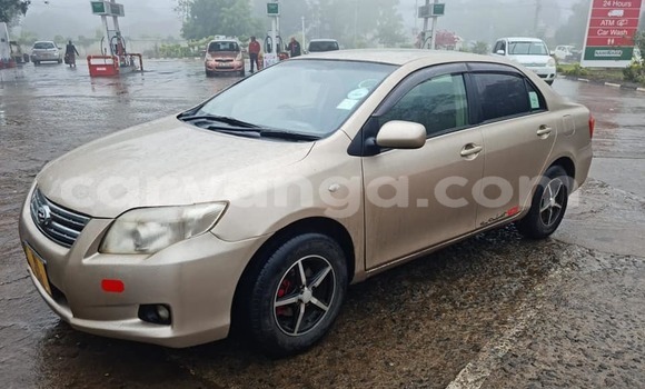 Buy Used Toyota Axio Brown Car in Blantyre in Malawi Buy Used Toyota Axio Brown Car in Blantyre in Malawi