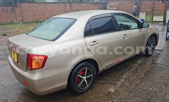 Buy Used Toyota Axio Brown Car in Blantyre in Malawi Buy Used Toyota Axio Brown Car in Blantyre in Malawi