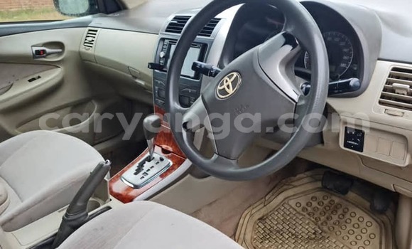 Buy Used Toyota Axio Brown Car in Blantyre in Malawi Buy Used Toyota Axio Brown Car in Blantyre in Malawi