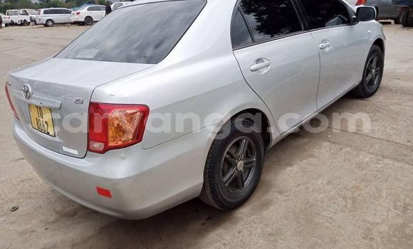 Acheter Occasion Voiture Toyota Axio Gris à Blantyre, Malawi Acheter Occasion Voiture Toyota Axio Gris à Blantyre, Malawi