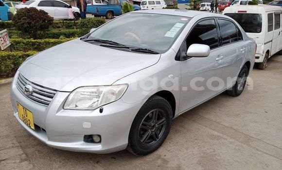 Acheter Occasion Voiture Toyota Axio Gris à Blantyre, Malawi Acheter Occasion Voiture Toyota Axio Gris à Blantyre, Malawi