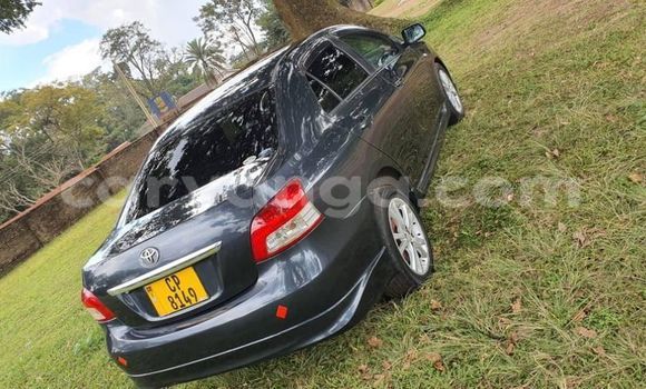 Acheter Occasion Voiture Toyota Belta Noir à Blantyre, Malawi Acheter Occasion Voiture Toyota Belta Noir à Blantyre, Malawi