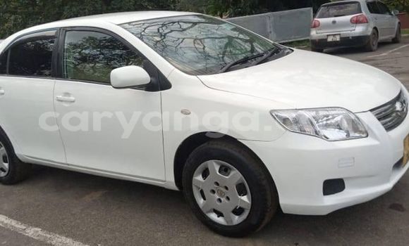 Acheter Occasion Voiture Toyota Axio Blanc à Blantyre, Malawi Acheter Occasion Voiture Toyota Axio Blanc à Blantyre, Malawi