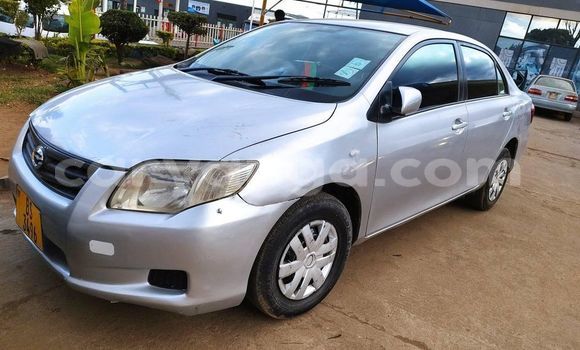 Buy Used Toyota Axio Silver Car in Blantyre in Malawi Buy Used Toyota Axio Silver Car in Blantyre in Malawi