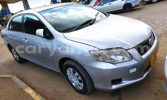 Buy Used Toyota Axio Silver Car in Blantyre in Malawi Buy Used Toyota Axio Silver Car in Blantyre in Malawi