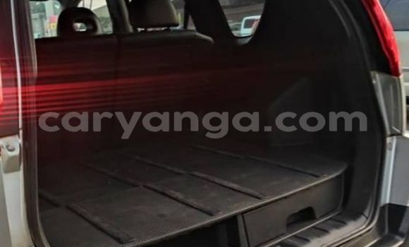 Buy Used Nissan X–Trail Silver Car in Blantyre in Malawi Buy Used Nissan X–Trail Silver Car in Blantyre in Malawi