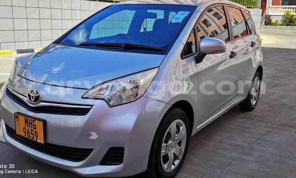Buy Used Toyota Ractis Silver Car in Blantyre in Malawi Buy Used Toyota Ractis Silver Car in Blantyre in Malawi