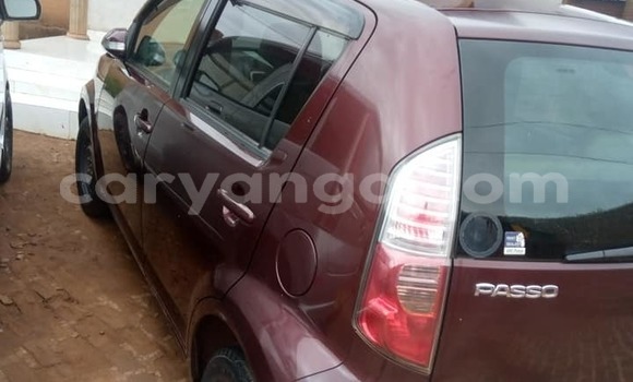 Buy Used Toyota Passo Red Car in Blantyre in Malawi Buy Used Toyota Passo Red Car in Blantyre in Malawi