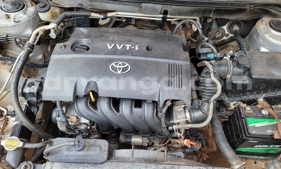 Buy Used Toyota Runx Silver Car in Lilongwe in Malawi Buy Used Toyota Runx Silver Car in Lilongwe in Malawi