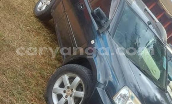 Buy Used Nissan X–Trail Black Car in Lilongwe in Malawi Buy Used Nissan X–Trail Black Car in Lilongwe in Malawi