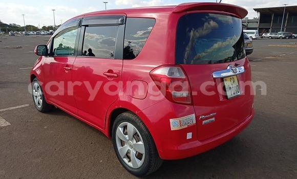 Buy Used Toyota Ractis Red Car in Lilongwe in Malawi Buy Used Toyota Ractis Red Car in Lilongwe in Malawi
