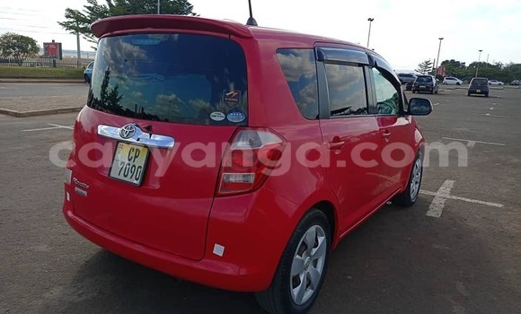 Buy Used Toyota Ractis Red Car in Lilongwe in Malawi Buy Used Toyota Ractis Red Car in Lilongwe in Malawi
