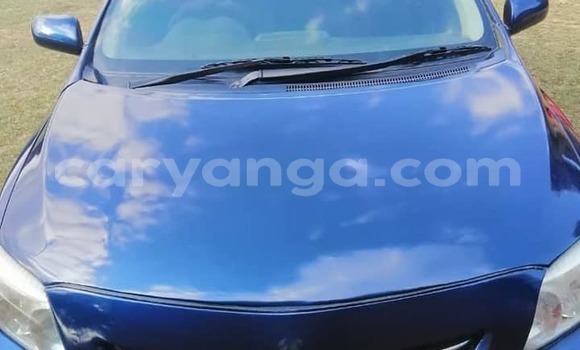 Nunua Ilio tumika Toyota Corolla Blue Gari ndani ya Blantyre nchini Malawi Nunua Ilio tumika Toyota Corolla Blue Gari ndani ya Blantyre nchini Malawi