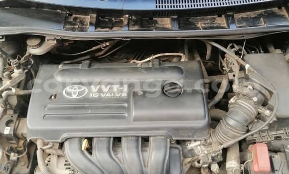 Nunua Ilio tumika Toyota Corolla Blue Gari ndani ya Blantyre nchini Malawi Nunua Ilio tumika Toyota Corolla Blue Gari ndani ya Blantyre nchini Malawi